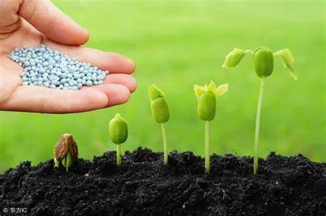 Urea fertilization strategy for pasture