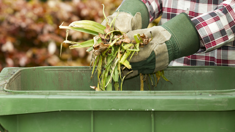 Comparing Indoor and Outdoor Composting Systems​