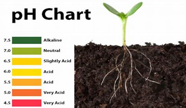 Effect on Soil pH