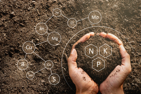 Soil Nutrient Balance: