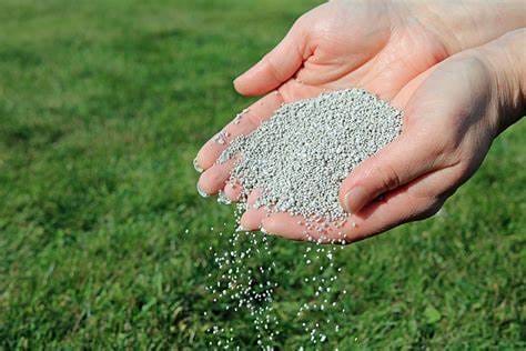 The Benefits of Organic Lawn Fertilizers and How to Use Them