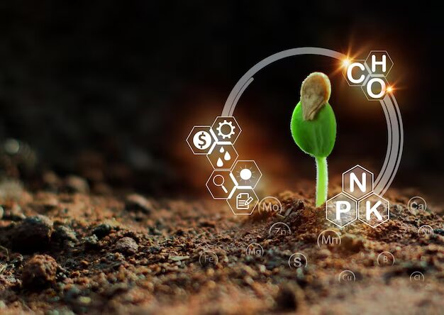 Best Practices for Applying Potassium Sulfate Fertilizer