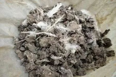 The core raw material for composting is chicken manure