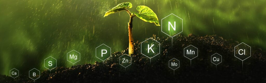 Foliar spraying