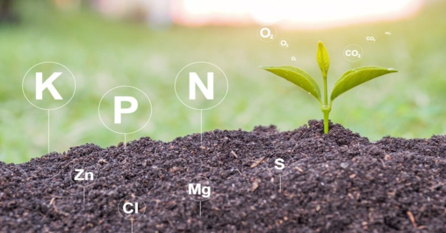 Macronutrients NPK in fertilizer
