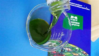 Seaweed fertilizers