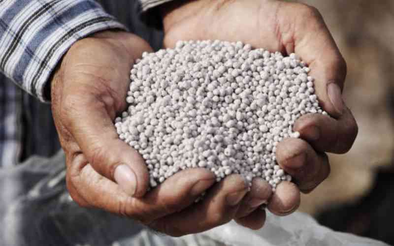 2025 Fertilizer Pellets