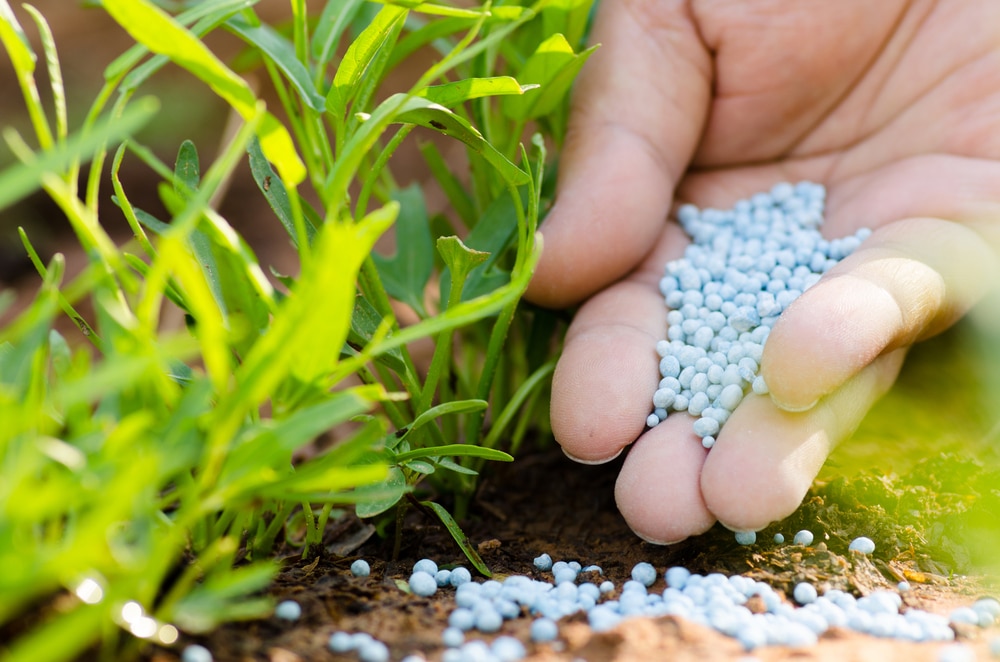 uses of fertilizers