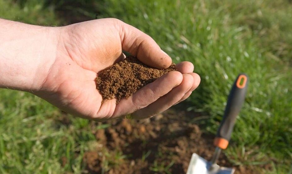 Advantages of Organic Fertilizer by Crop Type Vegetables