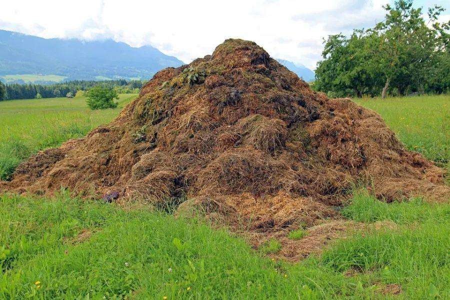 How to convert agricultural waste into organic fertilizer