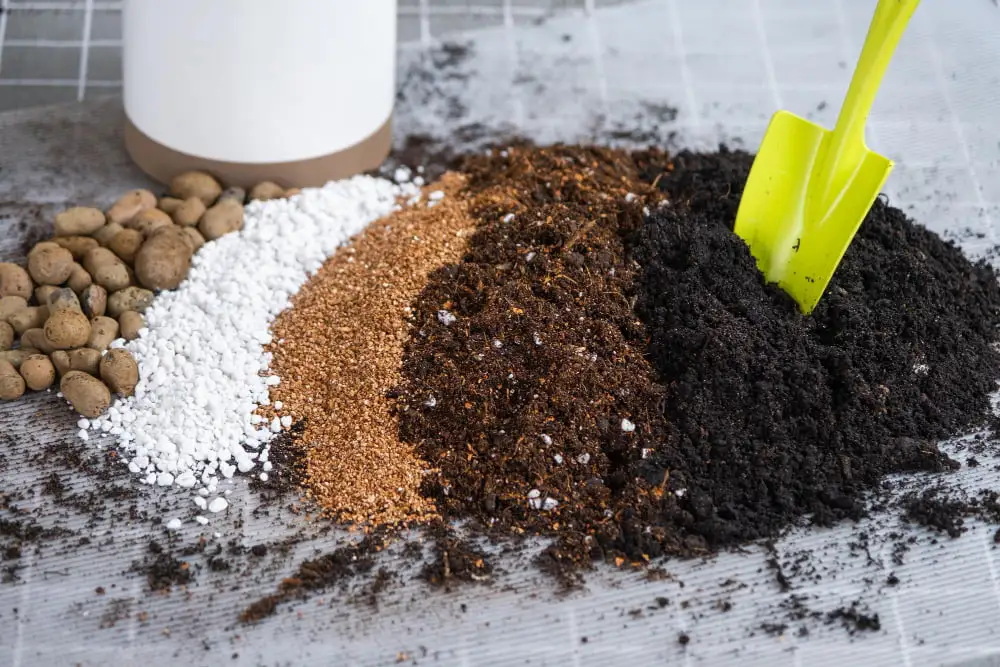 2025 Organic Fertilizer Industry Policy & Regulations
