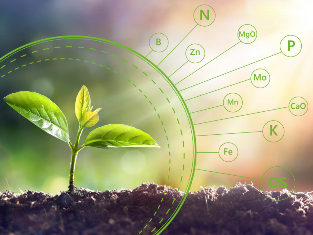 Nutrient Content Standards for Organic Fertilizers