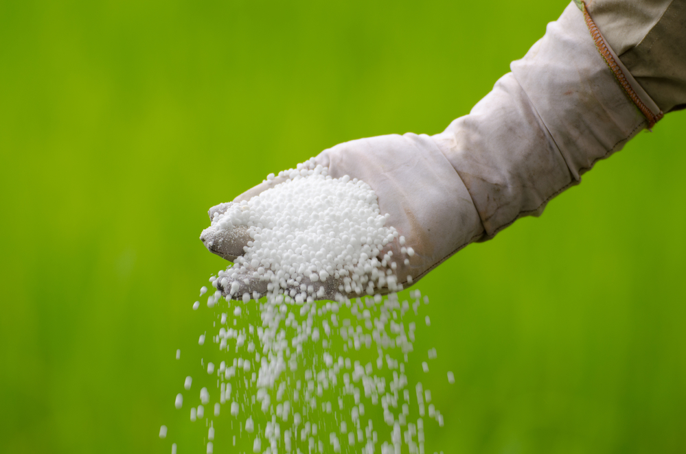 What Is Urea-Phosphate NPK Fertilizer