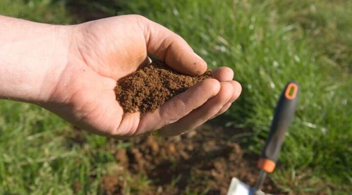 Advantages of Organic Fertilizer by Crop Type Vegetables