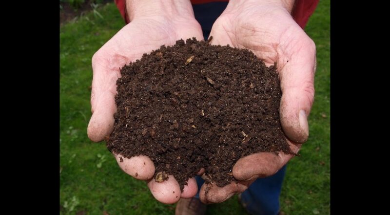 Alfalfa Compost + Blood Meal