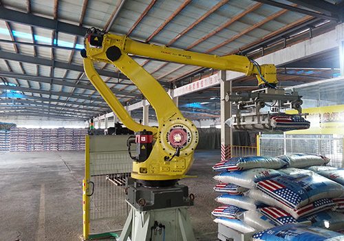 Automatic Palletizer | Fully Automatic Palletizing Expert for Boxes ...