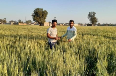 Benefits for Small - Scale Crops​