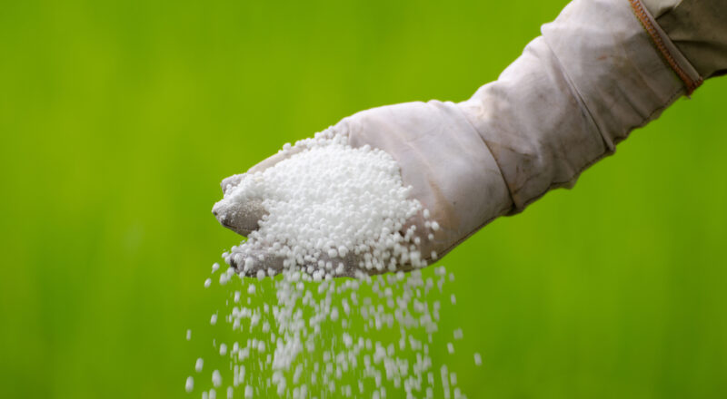 Benefits of Calcium Ammonium Nitrate fertilizer for Plant Growth​