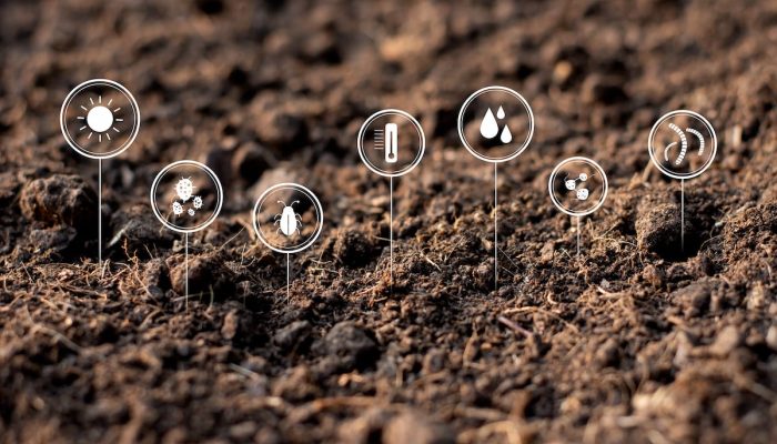 Benefits of Horse Manure for Soil and Plants