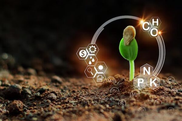 Best Practices for Applying Potassium Sulfate Fertilizer