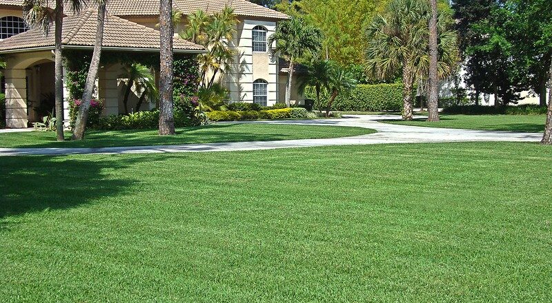 Best for Home Gardening