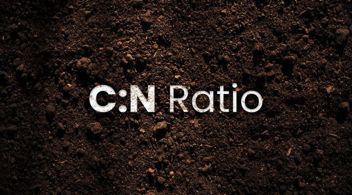 Master the C:N Ratio for Chicken Manure Compost