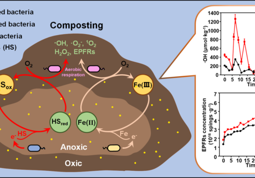Chemical reactions in composting