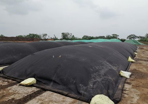 Chicken manure composting