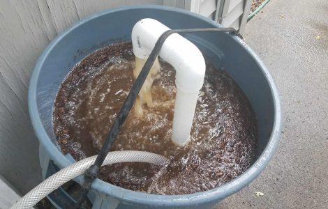 Composting Tea Steeping and Feeding the Microorganisms