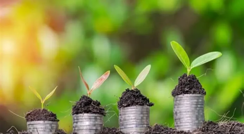 Focus on Vertical Farm Pellets
