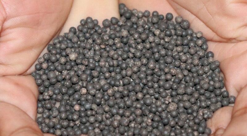 FAQ About Granular Organic Fertilizer Shelf Life