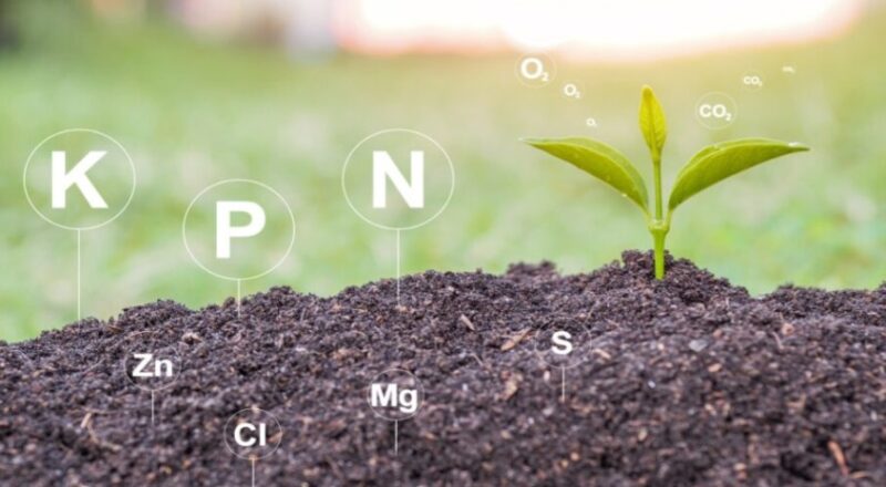 Fast-Acting Organic Fertilizer