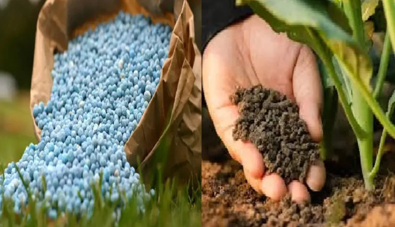 Fertilizer vs. Compost