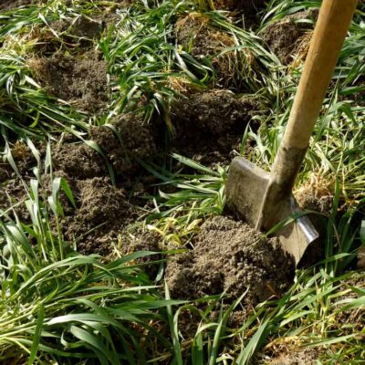For Clay Soils