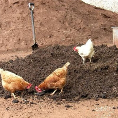 For Sandy Soils