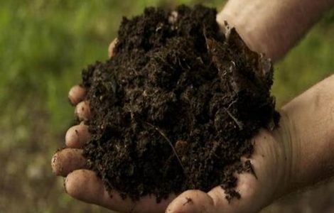 How Mushroom Compost Affects Clay Soils