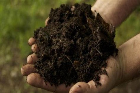 How to Tell When Compost Is Ready