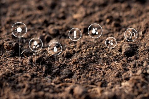 Improved Soil Structure​