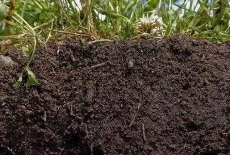 Interactions with soil ecology