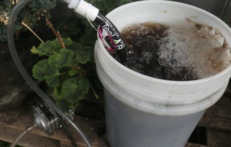 Mastering Composting Tea