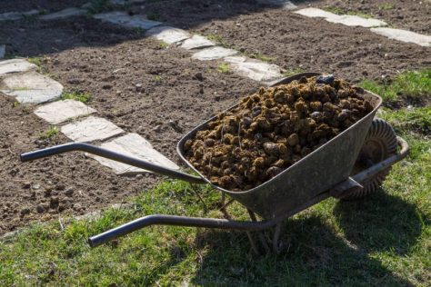 Materials Needed for Horse Manure Composting