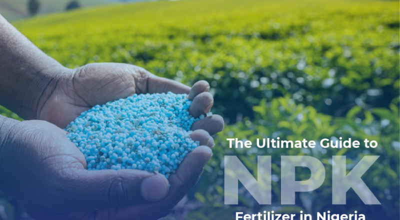 Moisture Control in NPK Granulation The Complete Guide for Fertilizer Plant Founders