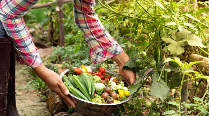 Garden Centers & Nurseries
