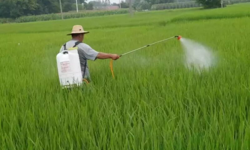 Foliar Spraying