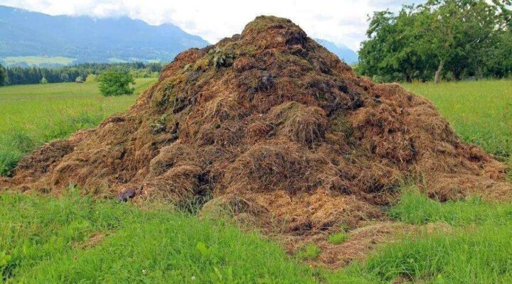 Raw Material Classification
