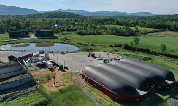 Site Selection Decides Success