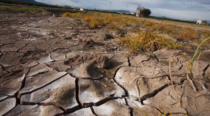 Soil Degradation Makes Organic Fertilizer a Necessity