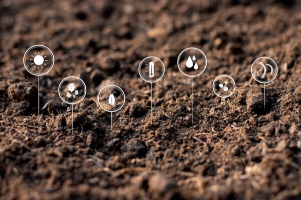 Soil health benefits