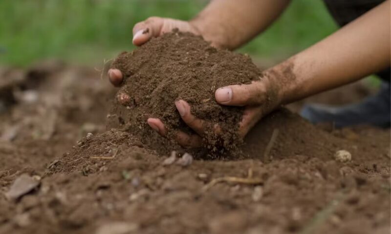 Tailor Application to Your Soil