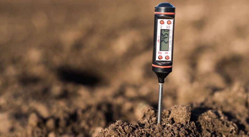 Test Your Soil